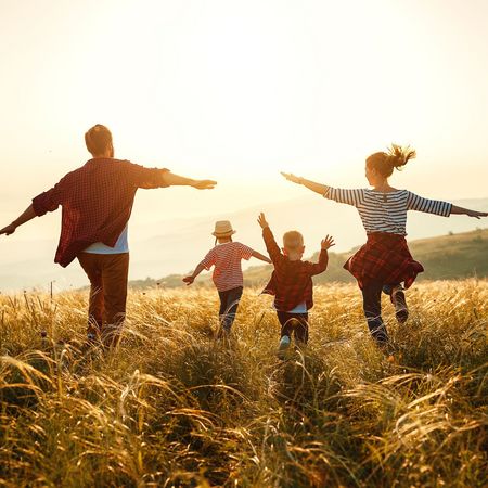 Foto: AdobeStock Foto: AdobeStock
